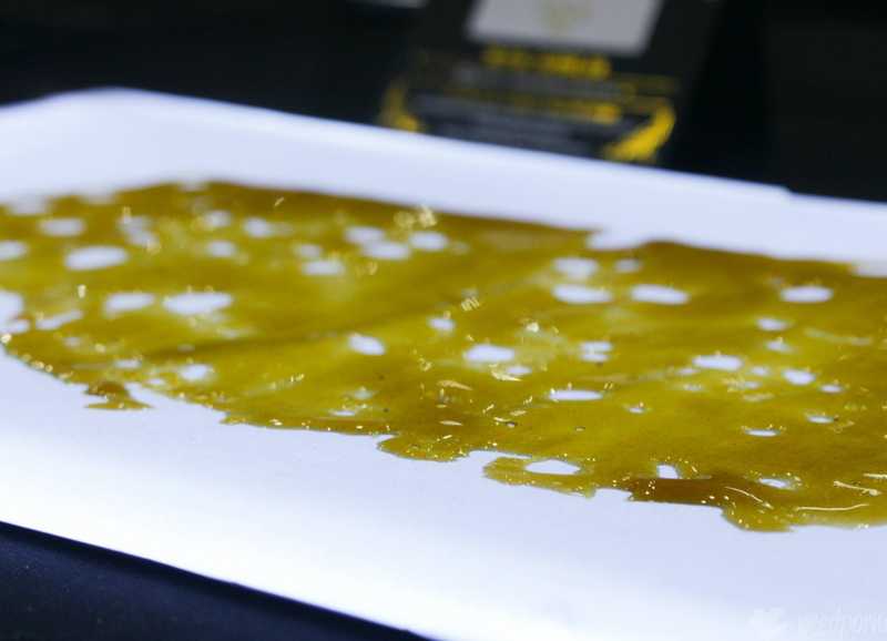 A Step-By-Step Guide on How to Make Cannabis Shatter